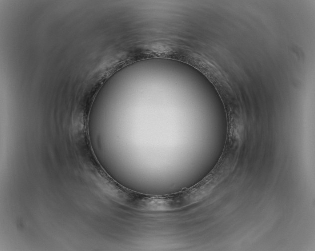 X0000111010518200906191614