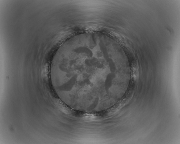 X0000111010519200906191614