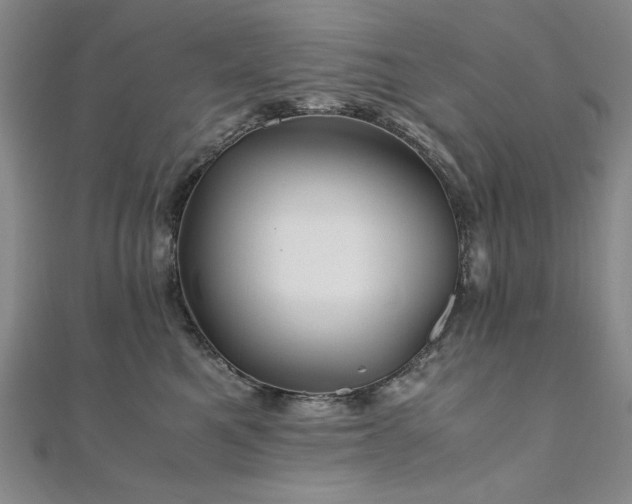 X0000111010521200906191614