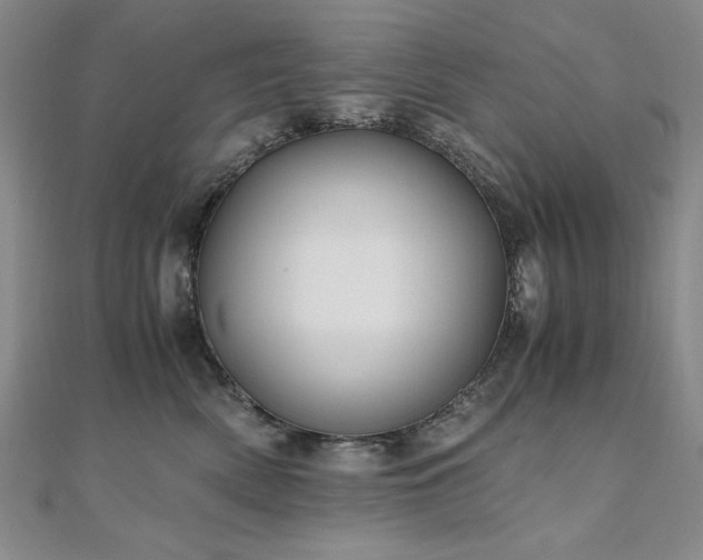 X0000111010522200906191614