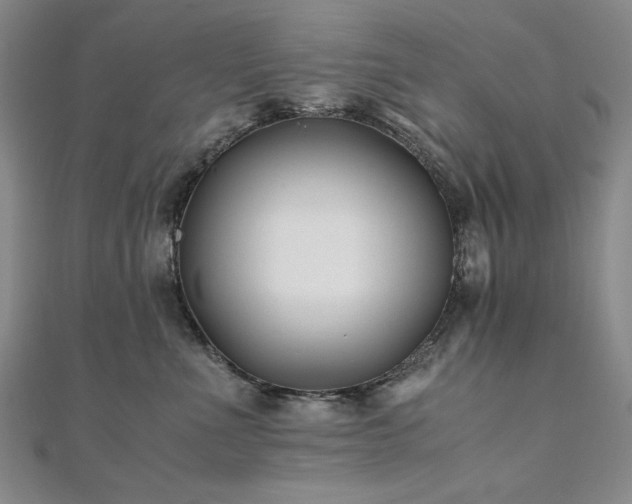 X0000111010523200906191614