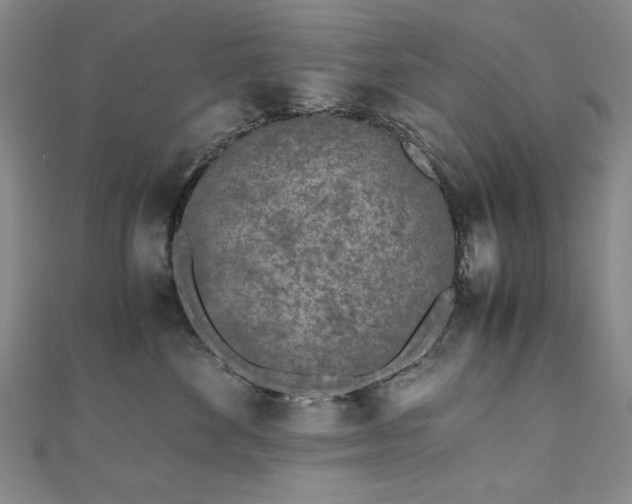 X0000111010524200906191614