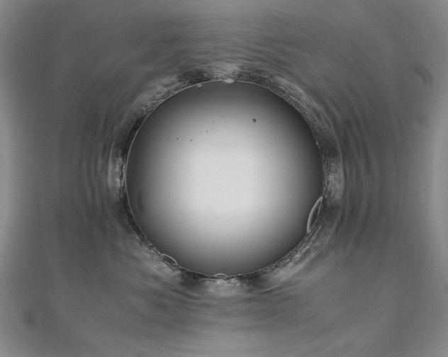 X0000111010525200906191614