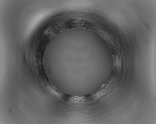 X0000111010526200906191614
