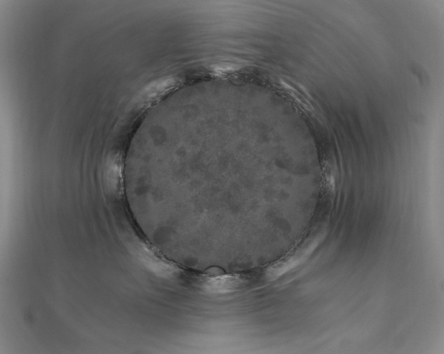 X0000111010527200906191614