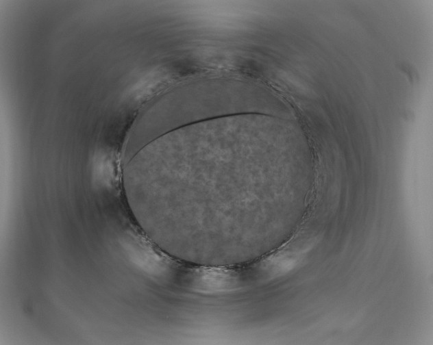 X0000111010528200906191614