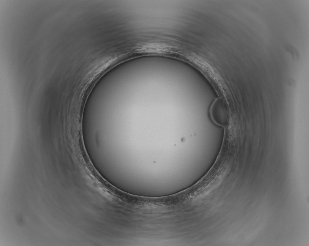 X0000111010529200906191613