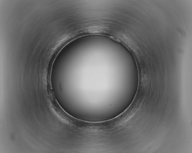 X0000111010530200906191613