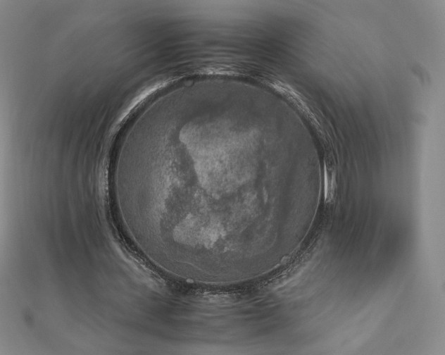 X0000111010531200906191613