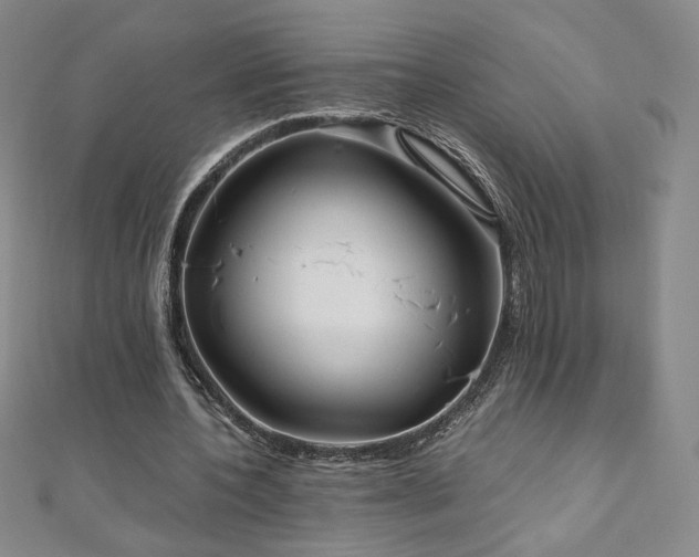 X0000111010532200906191613
