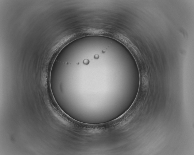 X0000111010533200906191613