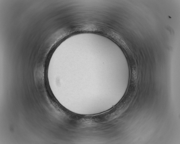 X0000111010534200906191613
