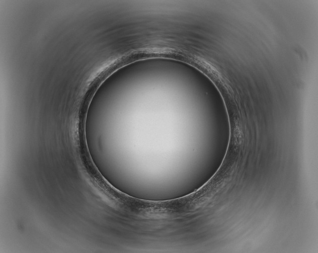 X0000111010535200906191614