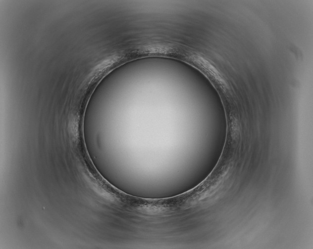 X0000111010537200906191614
