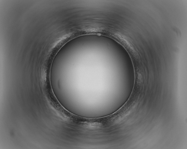 X0000111010539200906191614