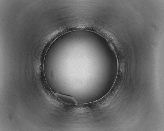 X0000111010540200906191614