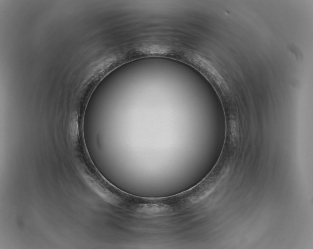 X0000111010541200906191614