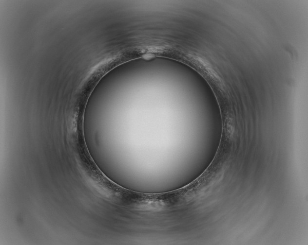 X0000111010543200906191614