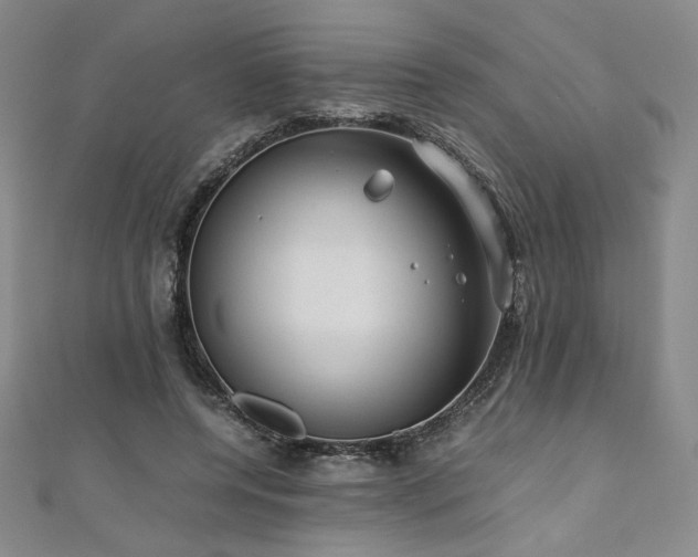 X0000111010544200906191614