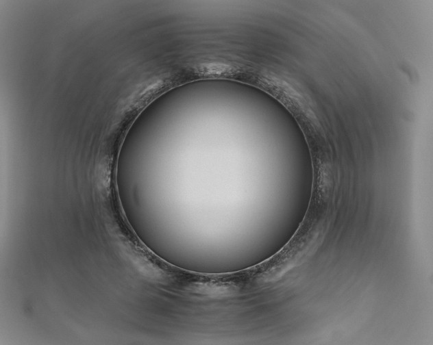 X0000111010545200906191614