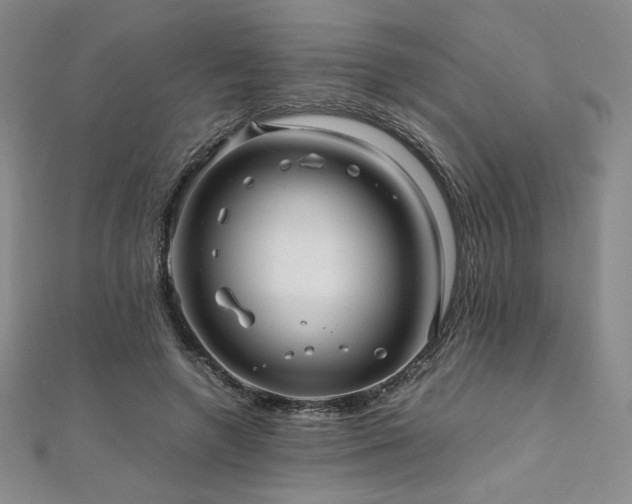 X0000111010546200906191614