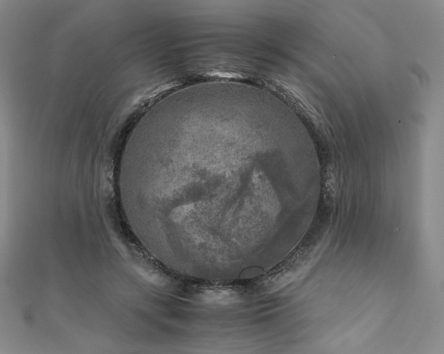 X0000111010547200906191614