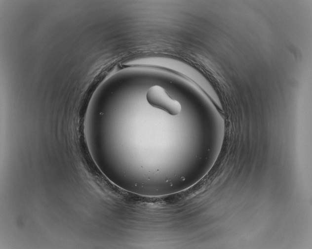 X0000111010548200906191614