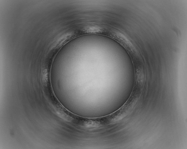 X0000111010549200906191614