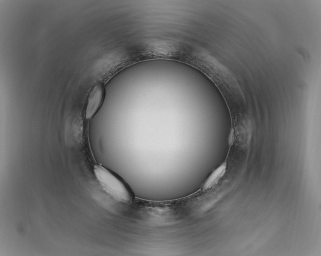 X0000111010552200906191614