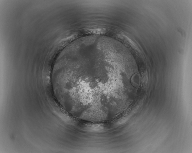 X0000111010553200906191614