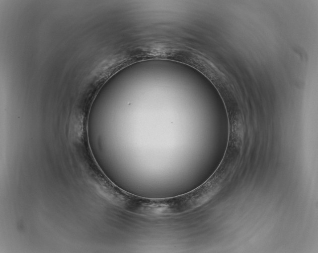 X0000111010554200906191614
