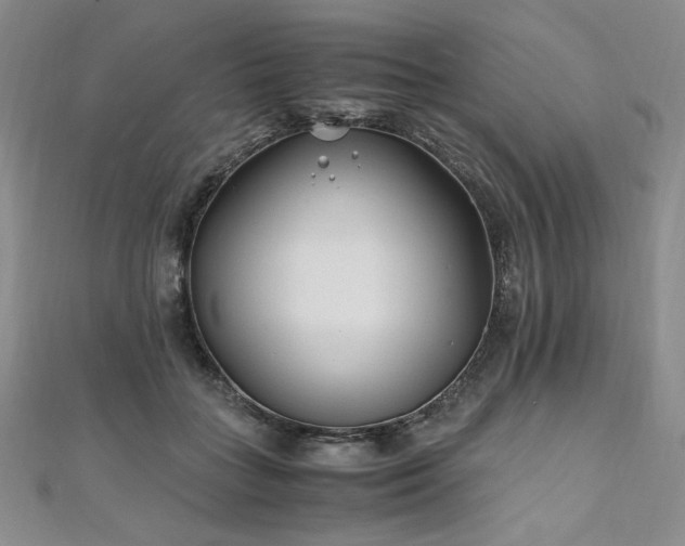 X0000111010555200906191614