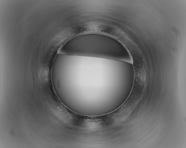 X0000111010556200906191614