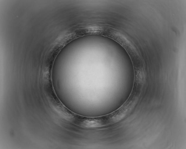 X0000111010557200906191614