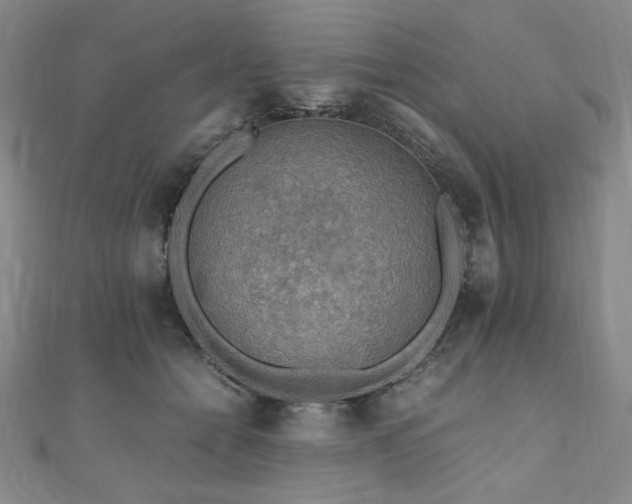 X0000111010558200906191614