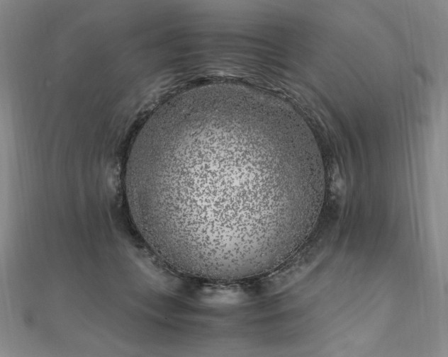X0000111010559200906191614