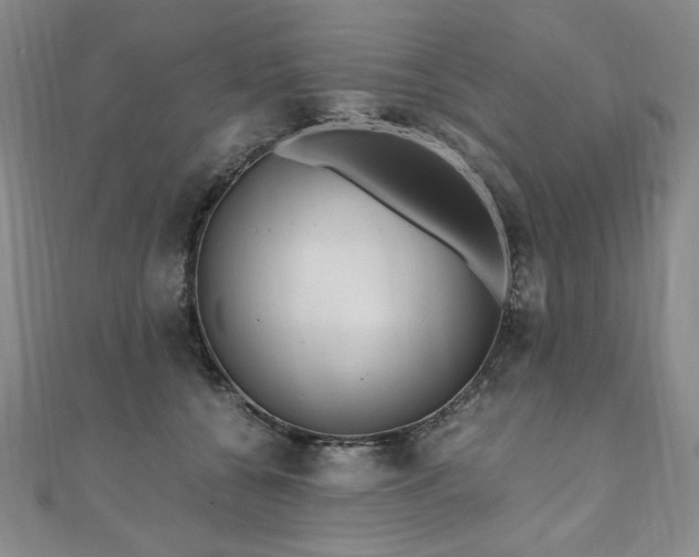 X0000111010560200906191614