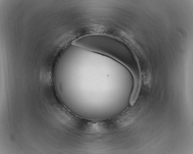 X0000111010564200906191614
