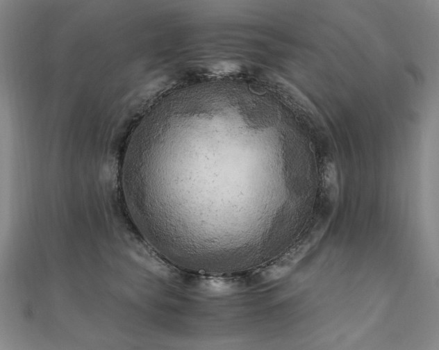 X0000111010565200906191614