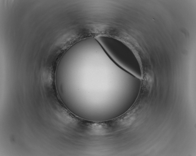 X0000111010566200906191614