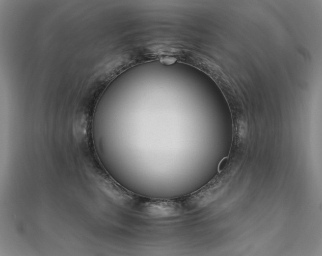 X0000111010567200906191614