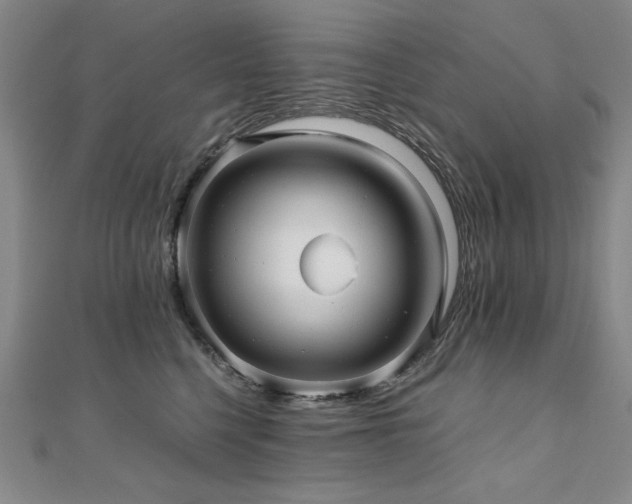 X0000111010568200906191614