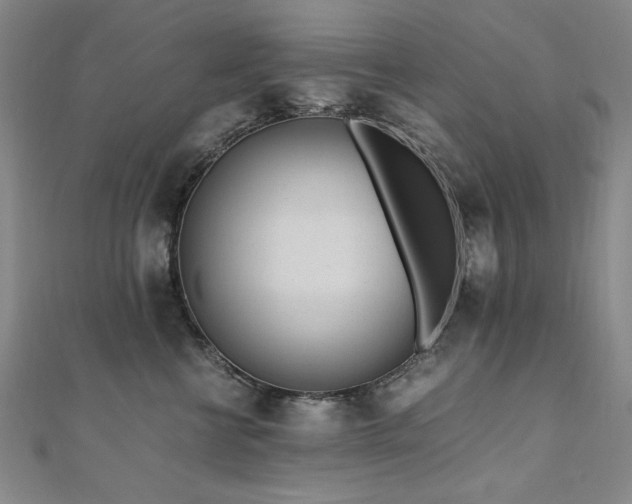 X0000111010570200906191614