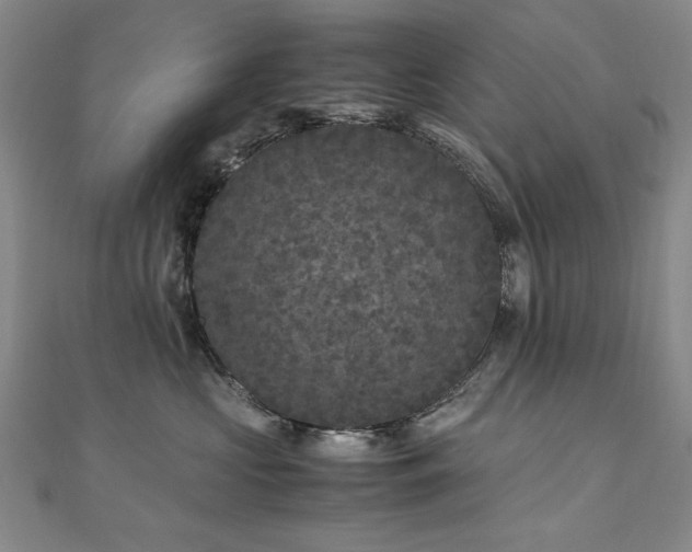 X0000111010573200906191614