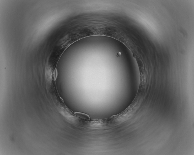 X0000111010574200906191614