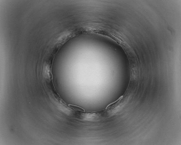 X0000111010575200906191614