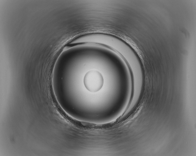 X0000111010577200906191613