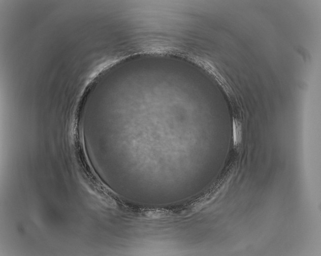 X0000111010579200906191613