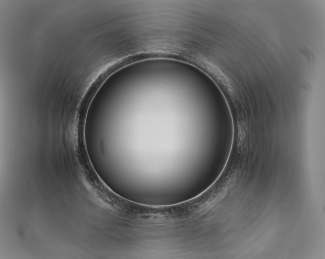 X0000111010580200906191613