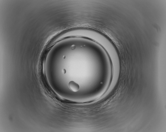 X0000111010583200906191613